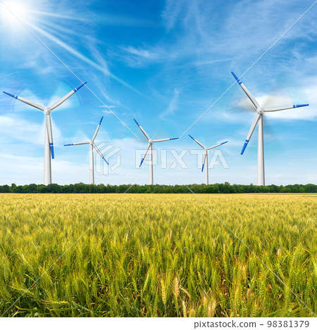 Wind Turbines in a Rural Landscape with a Green Wheat Field 98381379