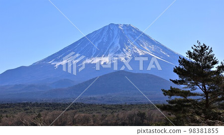 從立合浜（山梨縣富士河口湖町）看到的富士山 98381855
