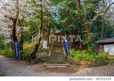 櫻花盛開的小江戶川越仙場東照宮的春天 櫻花盛開的小江戶川越仙場東照宮的春天 98381934