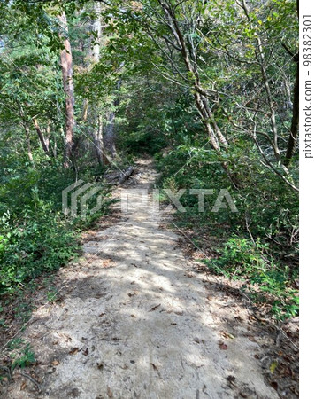 Trail  98382301
