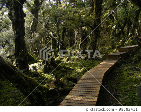 Trekking trails in the South Island of New Zealand Trekking trails in the South Island of New Zealand 98382411