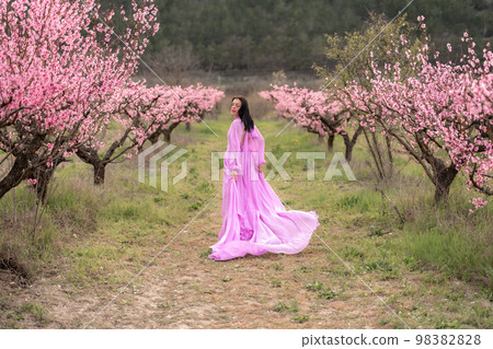 A woman in a long pink dress walks in the park, in a peach orchard. Large blooming peach orchard. A woman in a long pink dress walks in the park, in a peach orchard. Large blooming peach orchard. 98382828