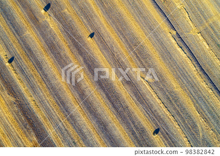 Aerial top view of the colorful geometric wheat fields with straw bales. Baling straw Aerial top view of the colorful geometric wheat fields with straw bales. Baling straw 98382842
