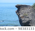 新西蘭海岸和層狀岩石 98383133