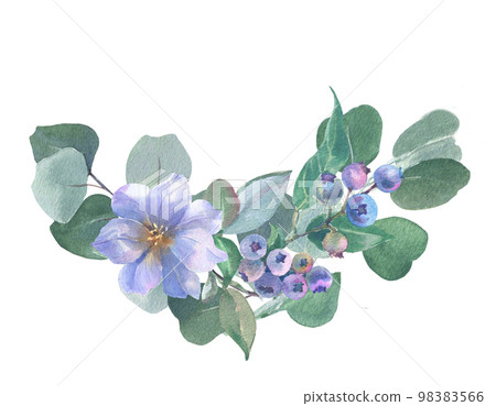 Watercolor eustoma, blueberry and eucalyptus branches, isolated on white background. For the design and decoration of wedding and greeting printing. 98383566