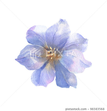 Watercolor painting of flowers, blue eustoma on white background. 98383568