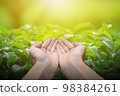 Hand holding with blank on nature background. 98384261