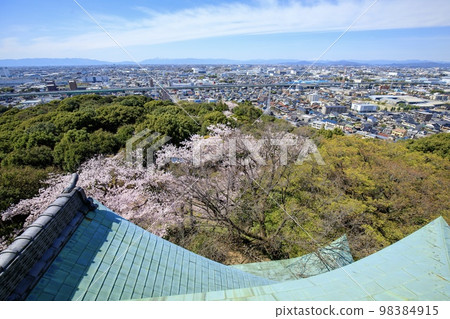 從小牧山城眺望小牧市（一宮方向） 98384915