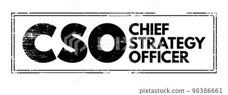 CSO Chief Strategy Officer - executive has primary responsibility for strategy formulation and management, including developing the corporate vision and strategy, acronym text stamp 98386661