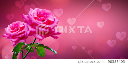 heart shaped background with pink roses for valentines day 98388403