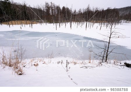 Biei Frozen Blue Pond in Midwinter 98388788