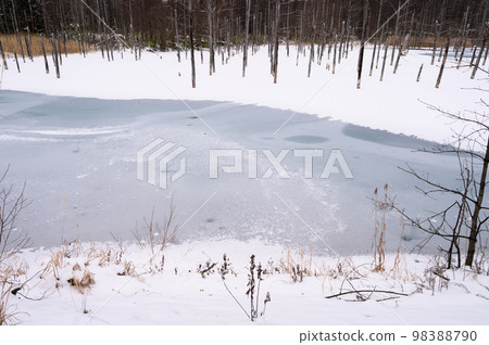 Biei Frozen Blue Pond in Midwinter Biei Frozen Blue Pond in Midwinter 98388790
