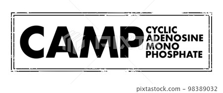 CAMP - Cyclic Adenosine MonoPhosphate acronym, medical concept background 98389032