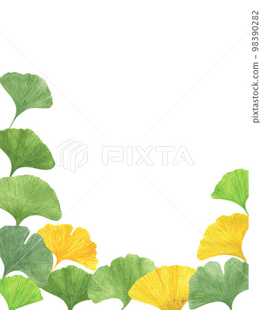 Ginkgo biloba ancient tree fan-shaped leaves round frame watercolor illustration, maidenhair tree leaf healthy eco-friendly floral organic plant concept, template for invitation, card, poster 98390282