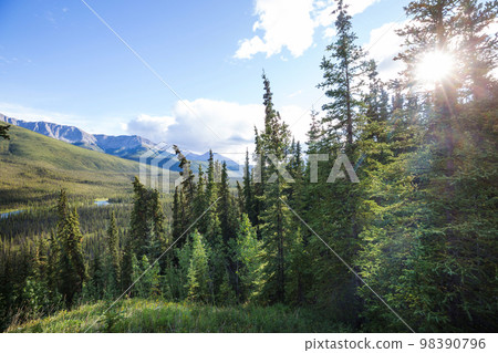 Mountains in Canada 98390796