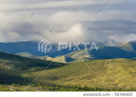 Polar tundra 98390802