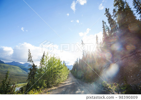Road in Alaska 98390809