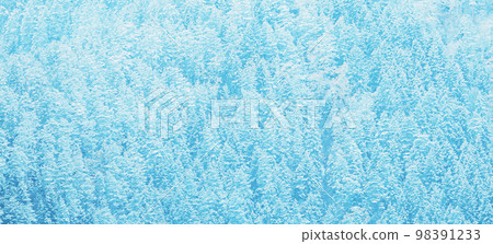 Coniferous Forest Landscape View Like Mosaic Pattern. Nature Forest Pattern. Morning Foggy Coniferous Forest. Beauty In Nature Coniferous Forest Landscape View Like Mosaic Pattern. Nature Forest Pattern. Morning Foggy Coniferous Forest. Beauty In Nature 98391233