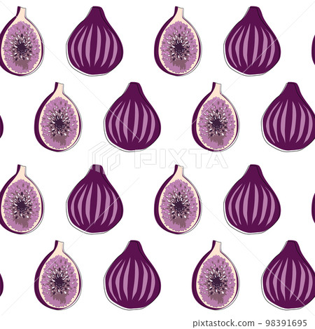 Fig vector seamless pattern on white background. 98391695