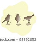 three kiwi birds on a light background. bird illustration 98392852
