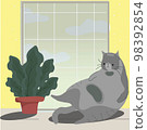 lazy gray cat lying on the windowsill 98392854