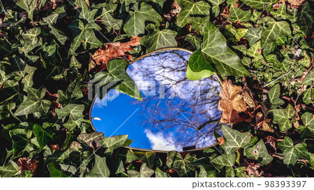 mirror between the hedra mirror between the hedra 98393397