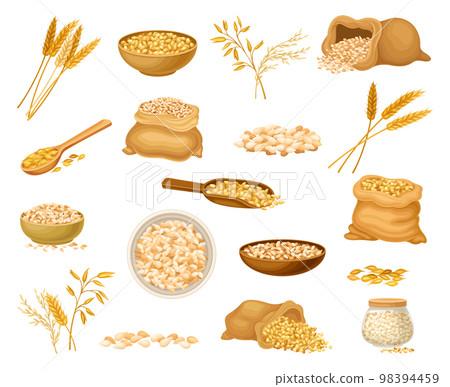 Grains Crop with Wheat or Oat Spikelet and Sack Big Vector Set Grains Crop with Wheat or Oat Spikelet and Sack Big Vector Set 98394459