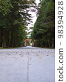 清晨的霧島神社鳥居 98394928