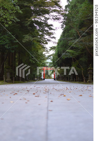 清晨的霧島神社鳥居 清晨的霧島神社鳥居 98394928
