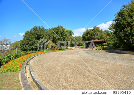 清新的秋天公園 98395410