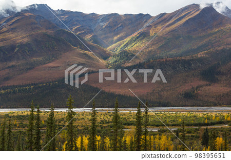 Mountains on Alaska 98395651