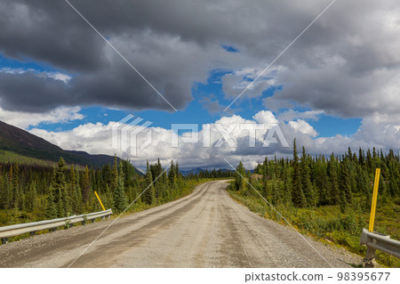 Road on Alaska 98395677