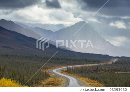 Road on Alaska 98395680