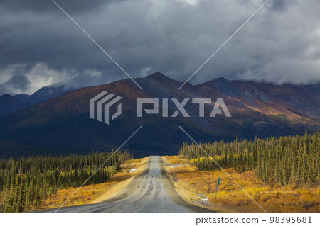 Road on Alaska Road on Alaska 98395681