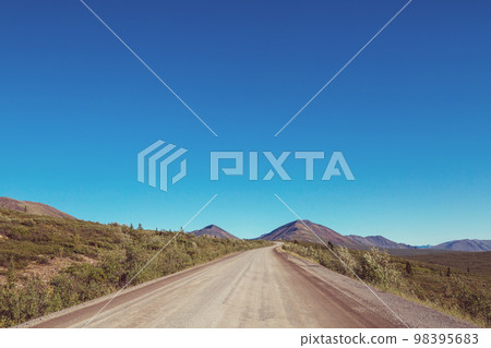 Road on Alaska Road on Alaska 98395683