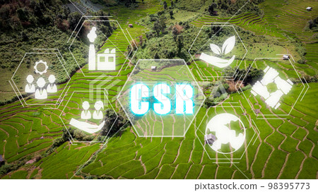 CSR Corporate Social Responsibility concept, Green forrest background with corporate social responsibility icon on virtual screen. 98395773