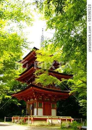 Joruri寺 Joruri寺 98396528