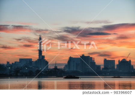 茨城縣水戶市天鵝翩翩起舞的千波湖早晨 98396607