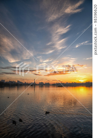 茨城縣水戶市天鵝翩翩起舞的千波湖早晨 98396620