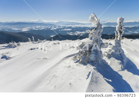 Snow covered bent little pine tree in winter mountains. Arctic landscape. Colorful outdoor scene, Happy New Year celebration concept. Artistic style post processed photo. 98396723