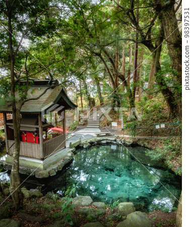 Spring water from Izumi Shrine, Hitachi City, Ibaraki Prefecture 98397531