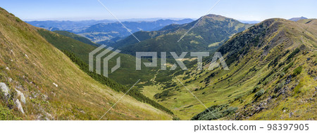 Panorama of Carpathian mountains in summer sunny day 98397905