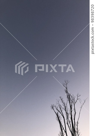 Winter sky gradation at dusk Winter sky gradation at dusk 98398720