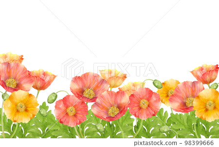 五顏六色的罌粟花田水彩畫 五顏六色的罌粟花田水彩畫 98399666