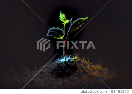 Image material: image of sprouts 98401203