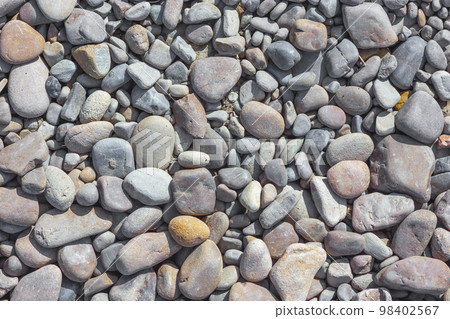 Abstract background with dry grey round big and small sea reeble 98402567