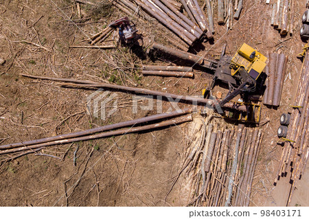 An operator of timber crane loading logs that will be transported to large transportation truck after they felled 98403171