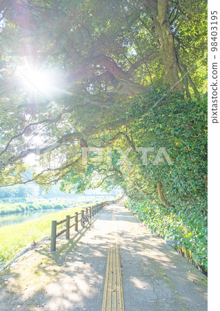 Image of cycling through fresh green Misasa Onsen Image of cycling through fresh green Misasa Onsen 98403195
