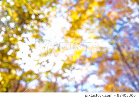 Autumn leaves, sunshine filtering through foliage, glitter, ball blur 98403306