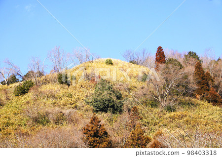 首腦會議 98403318